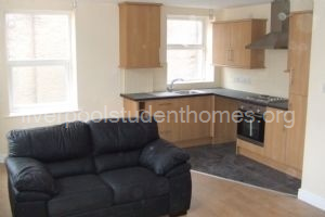 Kitchen living room area