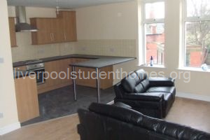 open plan kitchen living area