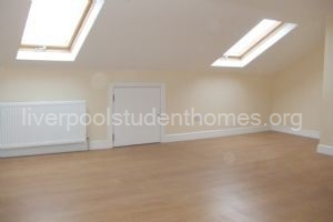 Massive double bedroom with four velux windows
