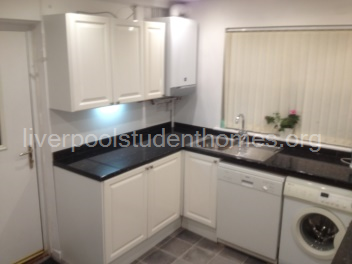 Modern fitted kitchen 