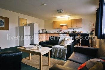 Silver/Bronze Ensuite Kitchen/Lounge