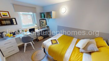 Gold Mini Studio Plus