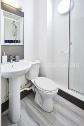 blank image