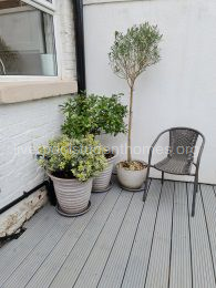 The Garden