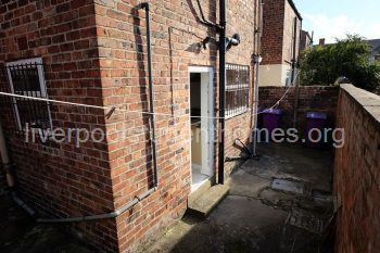 Rear Yard