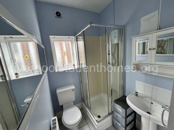 blank image