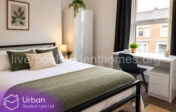 blank image